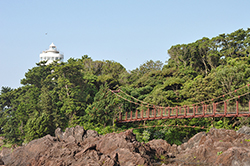 フォトギャラリー